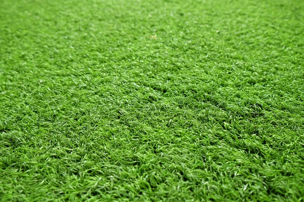 Разноцветная зеленая трава — стоковое фото