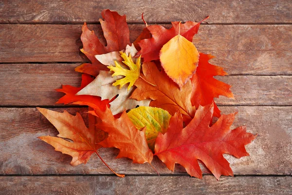 Autumn leaves background — Stock Photo, Image