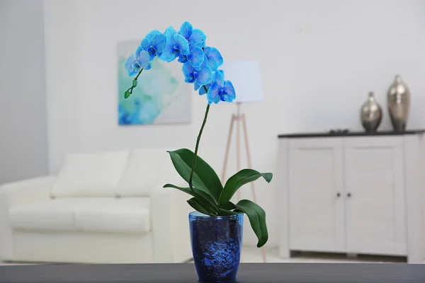 Beautiful blue orchid flower on table — Stock Photo, Image