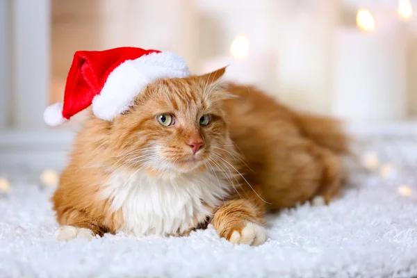 Bir halı üzerinde yalan Santa şapka ile kabarık kırmızı kedi — Stok fotoğraf