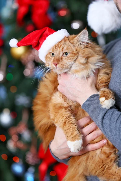 Homem de pé segurando um gato vermelho fofo no fundo de Natal — Fotografia de Stock