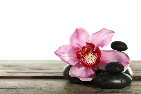 Hermosa orquídea rosa y piedras de spa aisladas en blanco — Foto de Stock