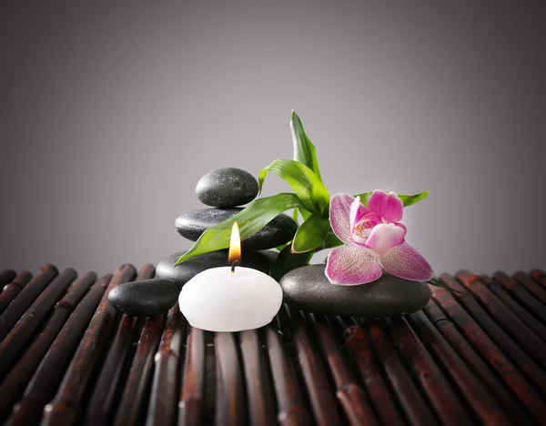 Spa still life with beautiful flower and candlelight on grey background — Stock Photo, Image