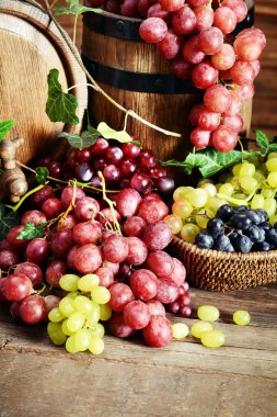 Üzüm kase ve varil 