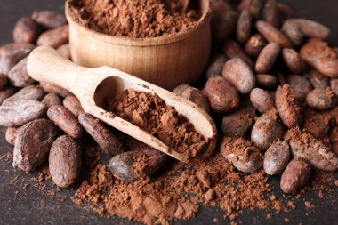 Aromatik kakao çekirdekleri ve gri arka plan üzerine çikolata ile kase, yakın çekim