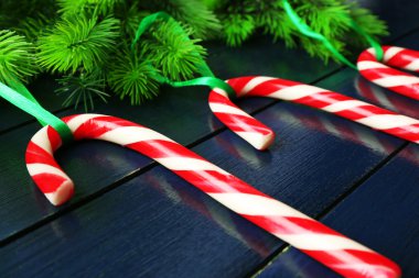 Lolipop şekerler köknar ağacı dalları ile