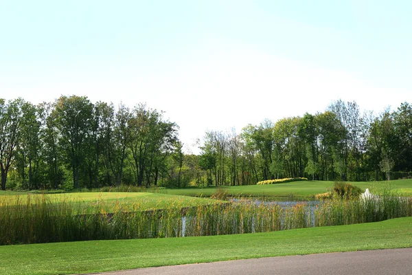 Park in het zonnige zomerdag — Stockfoto