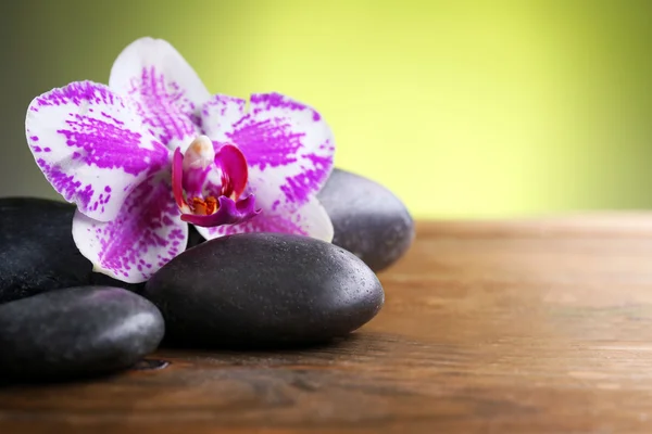 Schwarze Kieselsteine mit Orchidee — Stockfoto