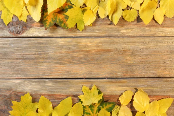 Hojas de otoño fondo —  Fotos de Stock