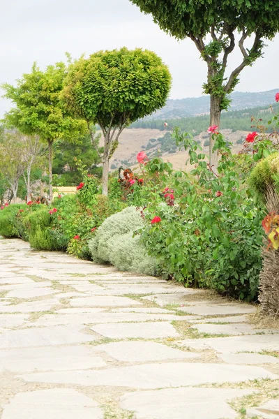 Asfalt pad in park — Stockfoto