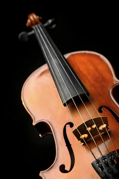 Violín sobre fondo oscuro — Foto de Stock