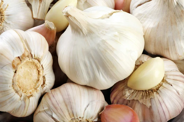 White garlic background — Stock Photo, Image