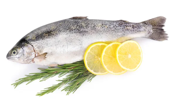 Pescado de mar fresco con limón — Foto de Stock