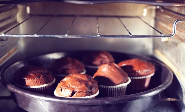 Chocolade cup-cake in de oven — Stockfoto