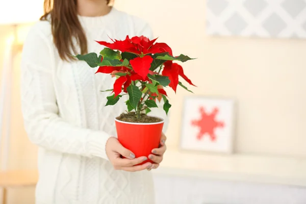 Kobieta z Boże Narodzenie poinsettia kwiat — Zdjęcie stockowe