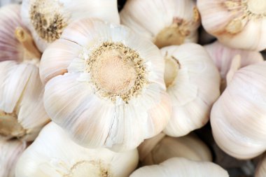 Beyaz sarımsak arka plan 