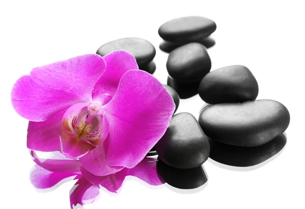 Siyah spa taşlar ve orkide — Stok fotoğraf