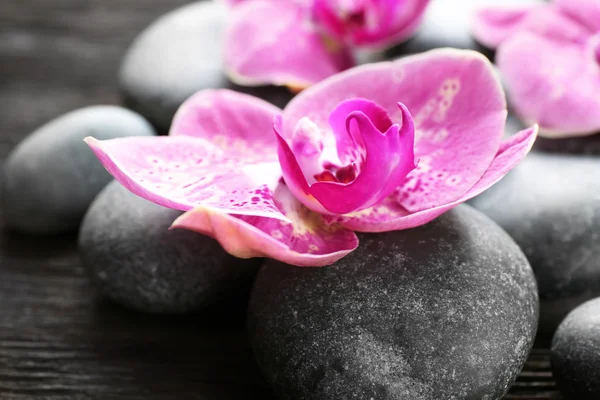 Spa taşlar ve orkide — Stok fotoğraf