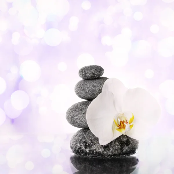 Beautiful composition with spa stones — Stock Photo, Image