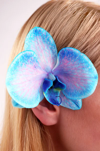 Beautiful blue orchid in woman hair