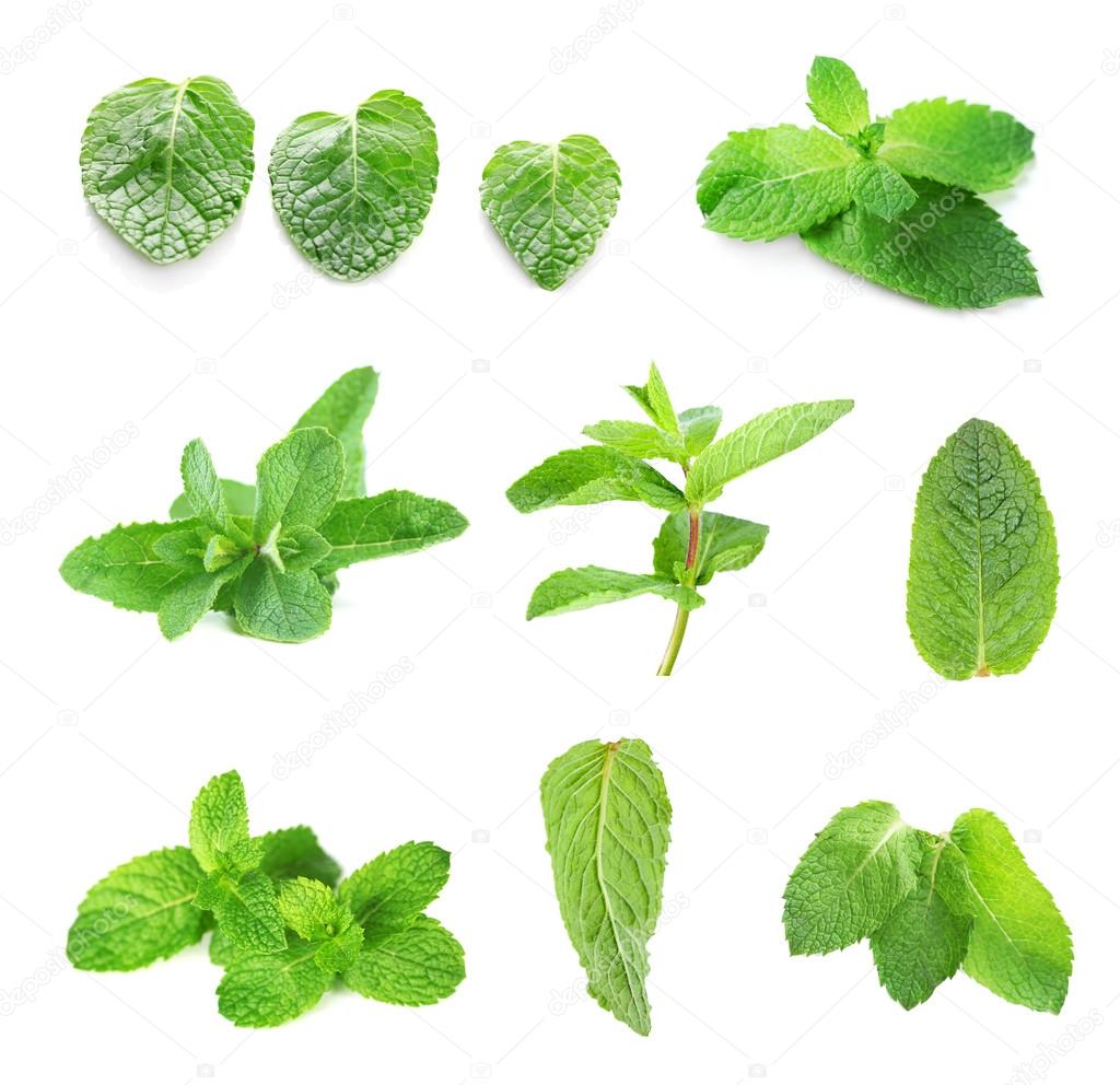 Collage with set of fresh mint