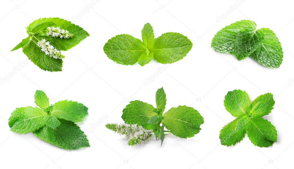 Collage with set of fresh mint