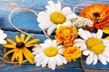 taze renkli çiçekler 