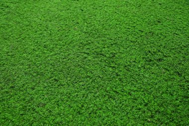 renkli yeşil çimen 