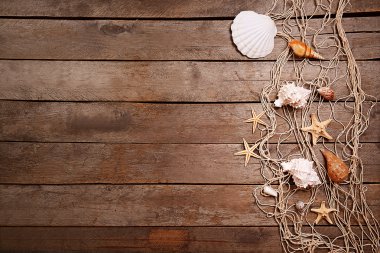 Ahşap arka planda deniz kabukları