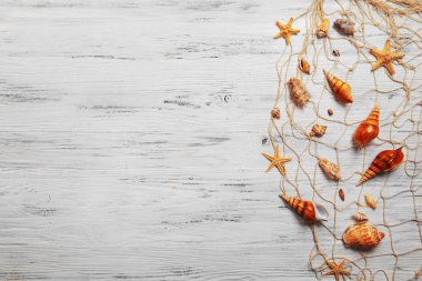 Hafif arkaplanda deniz kabukları