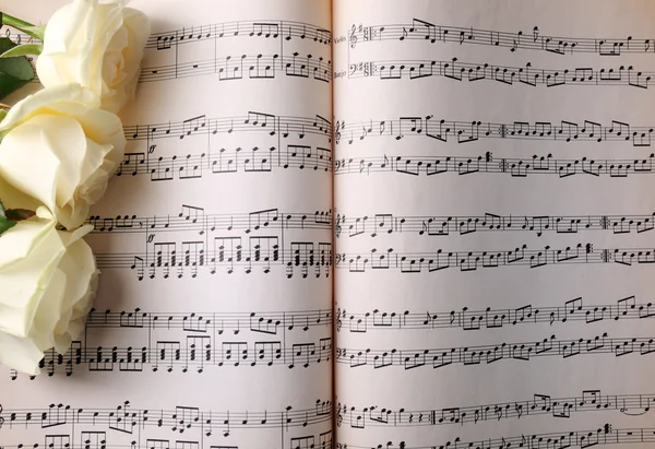 Beautiful roses on music sheets — Stock Photo, Image