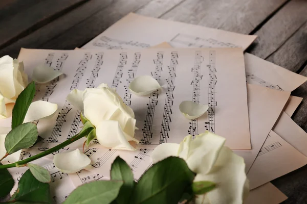 Beautiful roses on music sheets — Stock Photo, Image