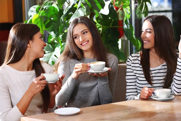 Chicas beben café — Foto de Stock