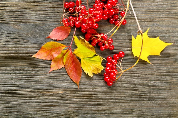 Hojas de otoño fondo — Foto de Stock