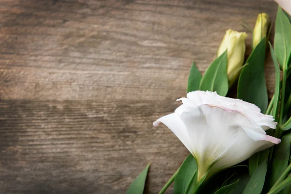 Lindas flores brancas — Fotografia de Stock