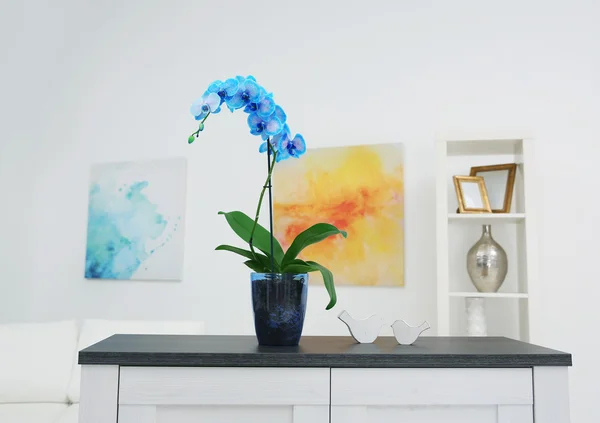 Mooie blauwe orchidee bloem op tafel — Stockfoto