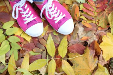 Eğitmenler yeşillik üzerinde duran kadın