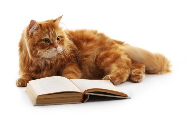 Kırmızı kedi ve izole kitap