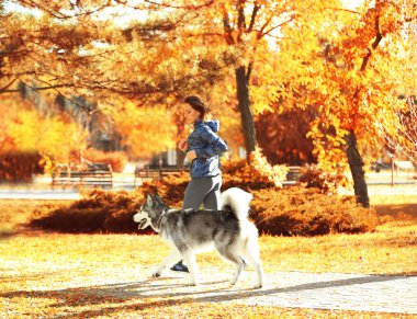 kadın parkta onu köpek ile jogging