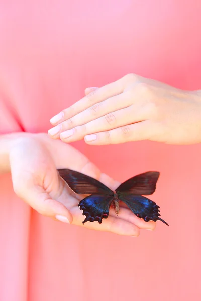 Mariposa colorida en manos femeninas — Foto de Stock