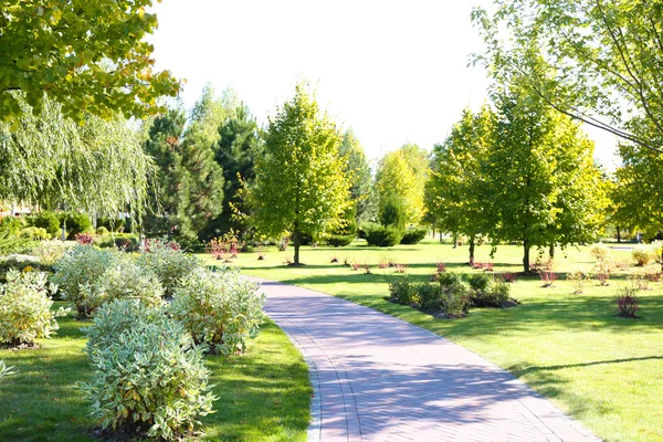 Parc en été journée ensoleillée — Photo