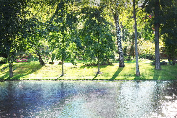 Beautiful Lake in Summer Park