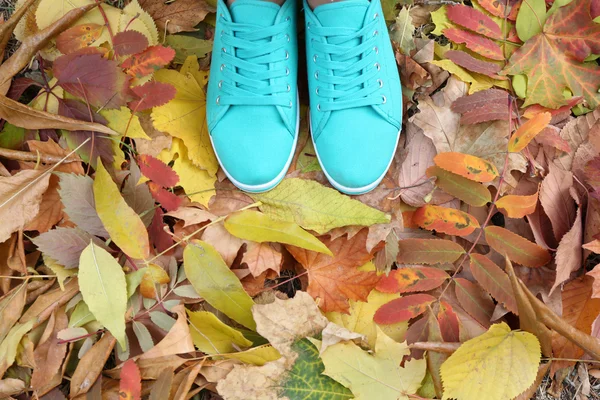 Woman in trainers standing on foliage — Stock Photo, Image