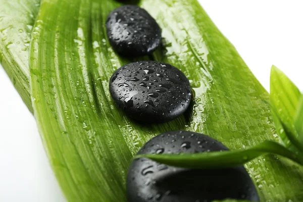 Hot spa stones with bamboo leaves — Stock Photo, Image