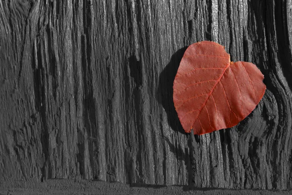 Καφέ φύλλα σε φόντο ξύλινη — Φωτογραφία Αρχείου