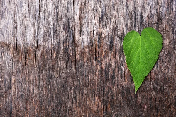 Blad på trä bakgrund — Stockfoto