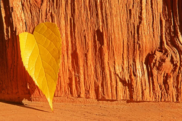 Feuille jaune sur fond en bois — Photo