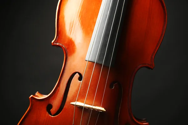 Geige auf dunklem Hintergrund — Stockfoto