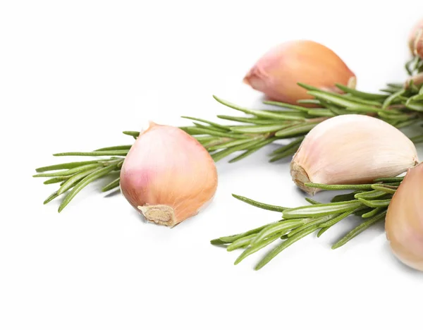 Knoblauch mit Rosmarin isoliert auf weiß — Stockfoto