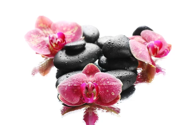 Pedras de spa preto e orquídeas — Fotografia de Stock